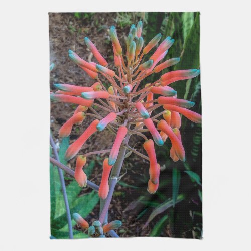 Blooming Aloe Plant Kitchen Towels