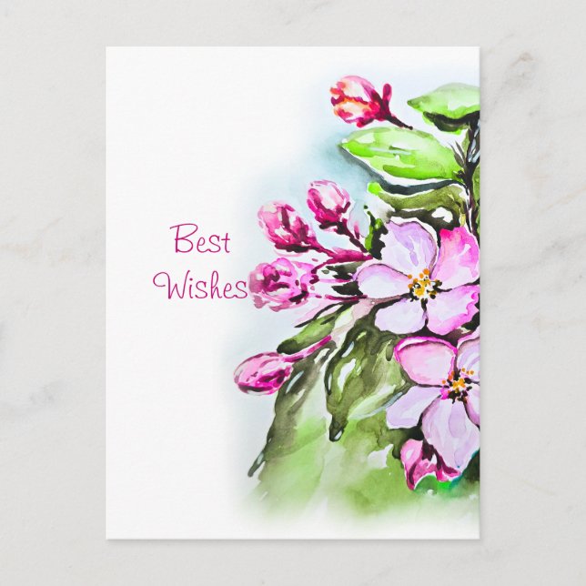 Blooming Apple Blossoms Postcard (Front)