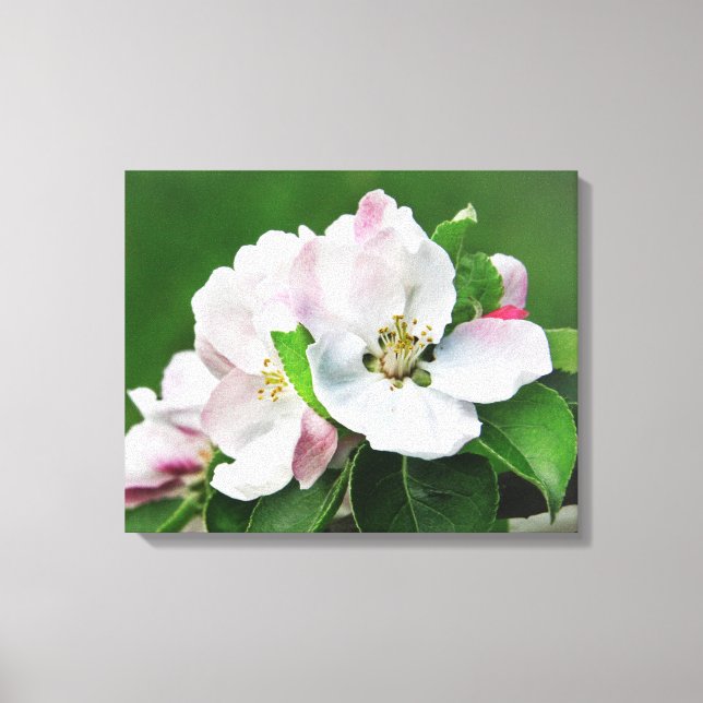 Blooming Apple Tree Spring Canvas Wall Art (Front)