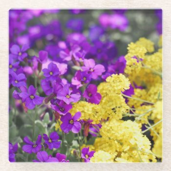 Blooming Beauties  Glass Coaster by FallnAngelCreations at Zazzle