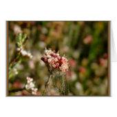 Blooming beautiful (Front Horizontal)