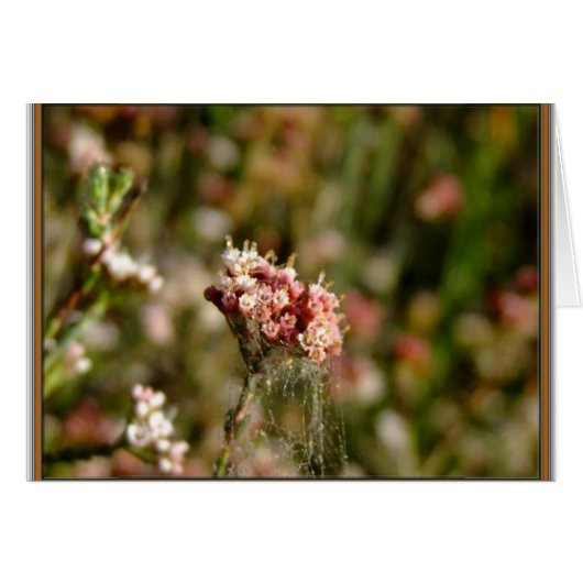 Blooming beautiful cards (Front Horizontal)