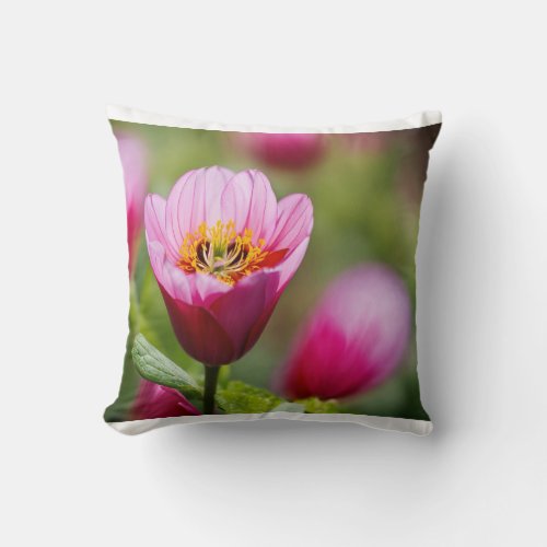  Blooming Beauty Capturing the Essence of Spring Throw Pillow