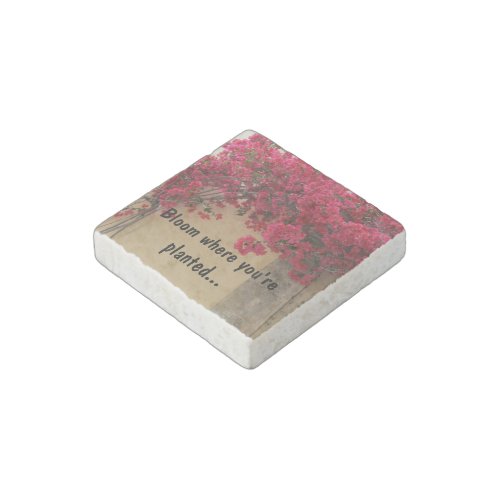 Blooming Bougainvilleas on a Rustic Wall Stone Magnet