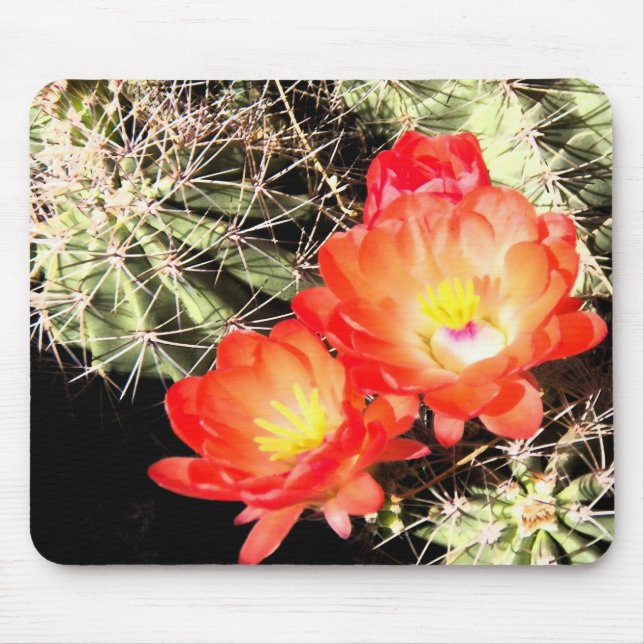 Blooming Cactus at Night Mouse Pad (Front)