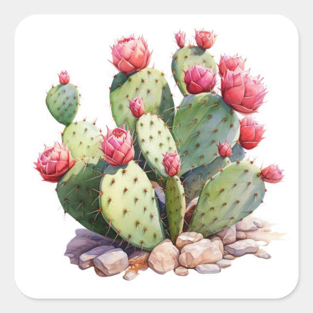 Blooming Cactus Garden Sticker – Colorful Succulen (Front)