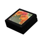Blooming Cactus Gift Box