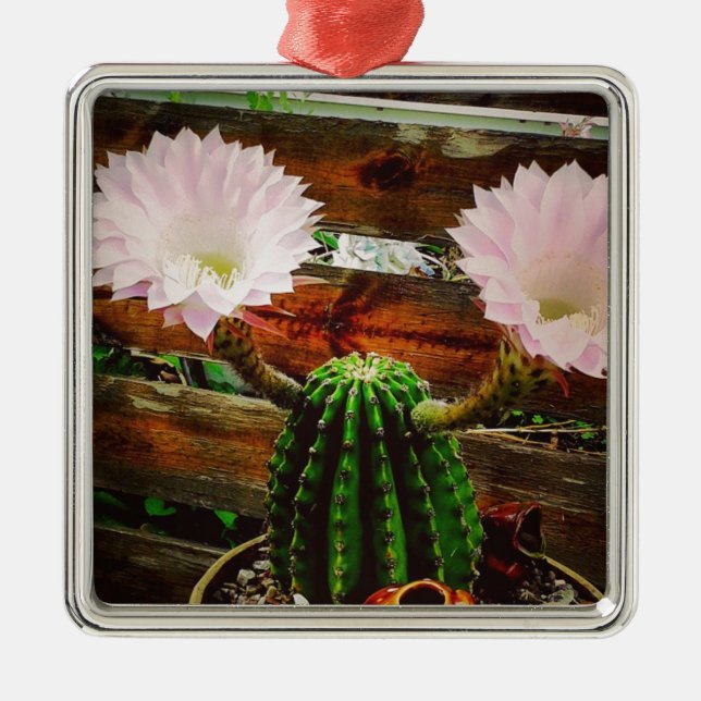 Blooming Cactus #succulent Metal Ornament (Front)