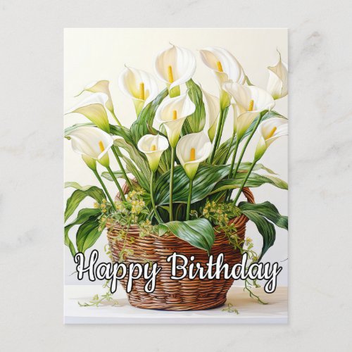 Blooming Calla Lily Flowers Postcard