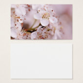 Blooming Cherry Blossoms (Front & Back)