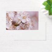 Blooming Cherry Blossoms (Desk)