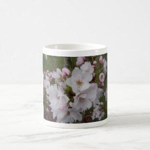 Blooming Cherry Blossoms Coffee Mug
