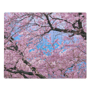 Blooming Cherry Blossoms Jigsaw Puzzle