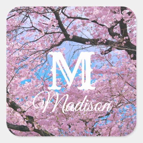 Blooming Cherry Blossoms Square Sticker
