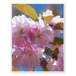 Blooming Cherry Blossoms Temporary Tattoos
