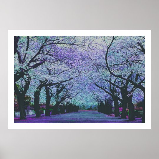 Blooming Cherry Blossoms Tokyo, Japan Poster | Zazzle.com