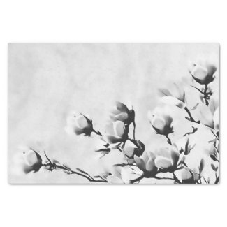 Blooming cherry flowers, floral black and white tissue paper