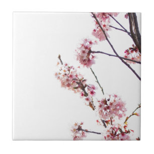 Blooming Cherry Tree Ceramic Tile