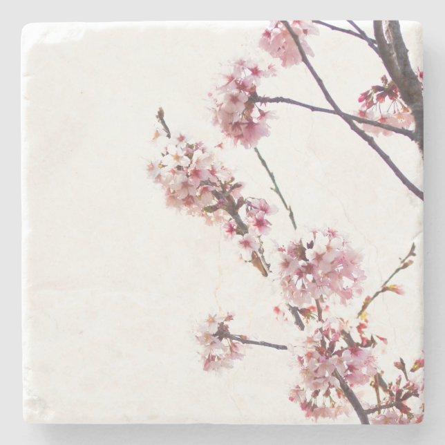 Blooming Cherry Tree Stone Coaster (Front)