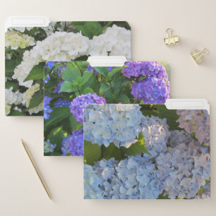 Blooming Colorful Hydrangea Flowers File Folder