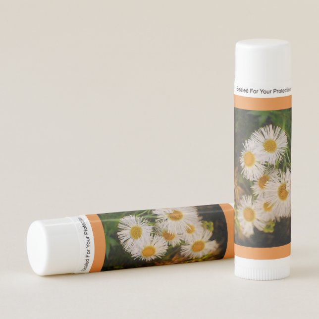 Blooming Daisy Lip Balm (Front)
