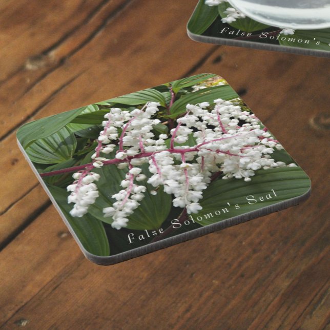 Blooming False Solomon's Seal Plant Floral Beverage Coaster (In Situ)