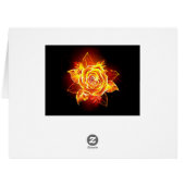 Blooming Fire Rose (Back Horizontal)