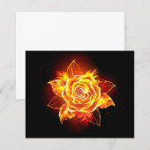 Blooming Fire Rose (Front/Back)
