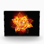 Blooming Fire Rose Acrylic Award<br><div class="desc">Blooming rose from fire and flame on black background.</div>
