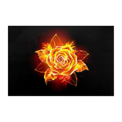 Blooming Fire Rose Acrylic Print