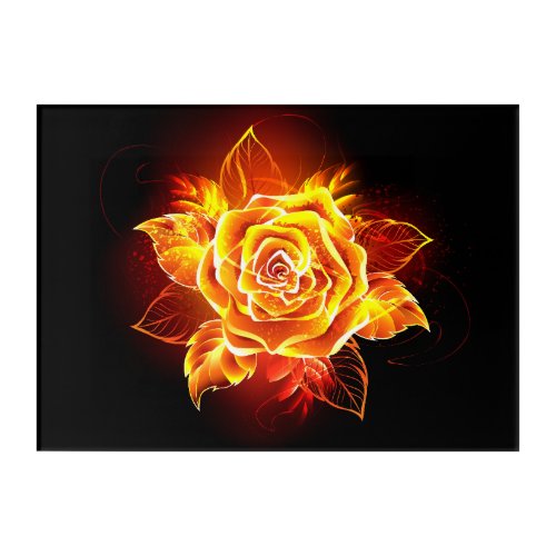 Blooming Fire Rose Acrylic Print