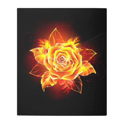 Blooming Fire Rose Metal Print