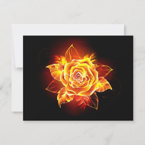 Blooming Fire Rose Note Card