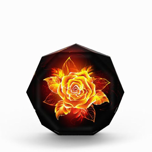 Blooming Fire Rose Photo Block