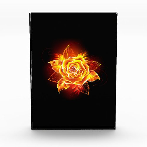 Blooming Fire Rose Photo Block