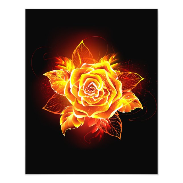 Blooming Fire Rose Photo Print (Front)