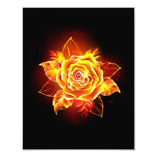 Blooming Fire Rose Photo Print (Front)