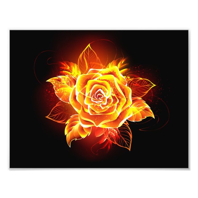 Blooming Fire Rose Photo Print (Front)