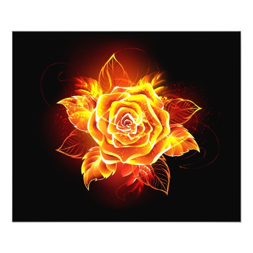 Blooming Fire Rose Photo Print