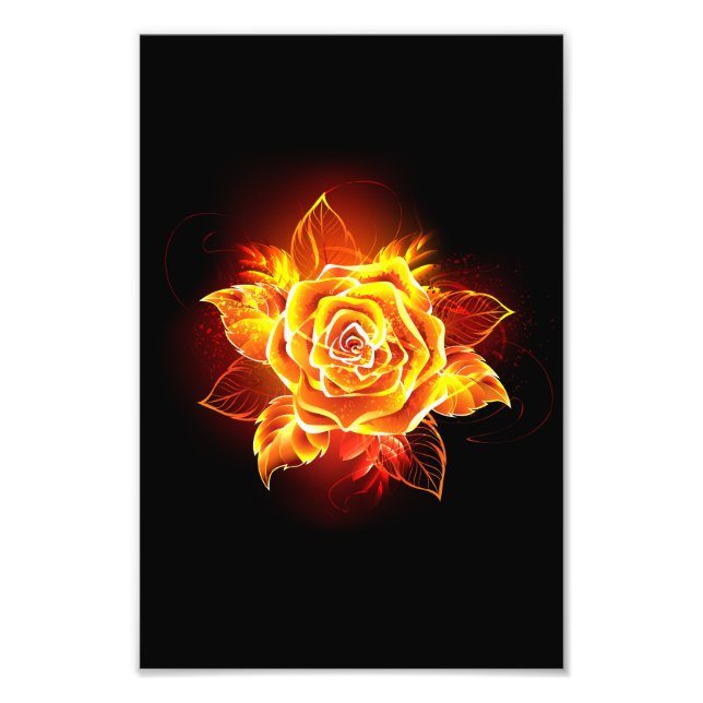 Blooming Fire Rose Photo Print (Front)