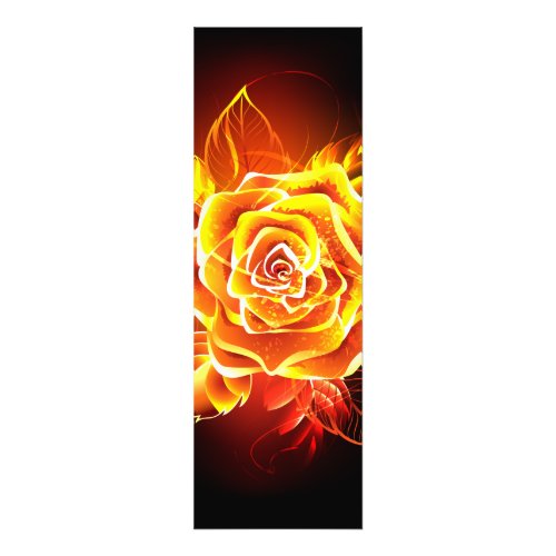 Blooming Fire Rose Photo Print