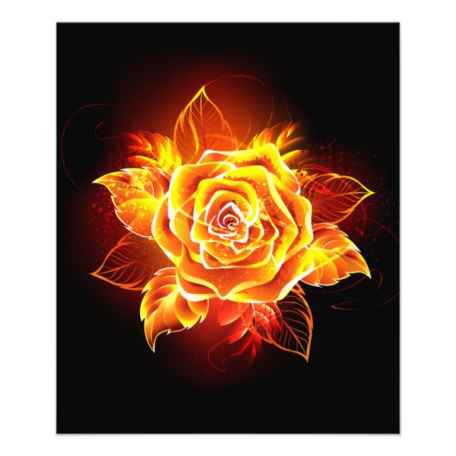 Blooming Fire Rose Photo Print (Front)