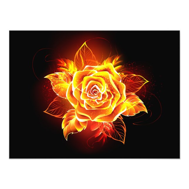 Blooming Fire Rose Photo Print (Front)