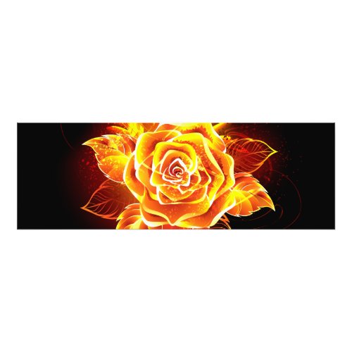 Blooming Fire Rose Photo Print