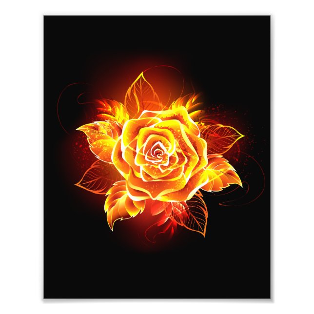 Blooming Fire Rose Photo Print (Front)