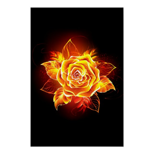 Blooming Fire Rose Poster (Front)
