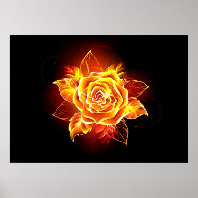 Blooming Fire Rose Poster (Front)