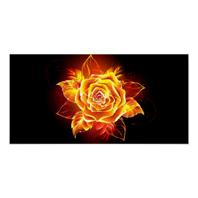 Blooming Fire Rose Poster (Front)
