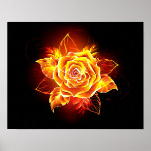 Blooming Fire Rose Poster