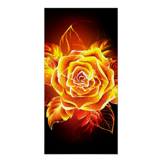 Blooming Fire Rose Poster (Front)